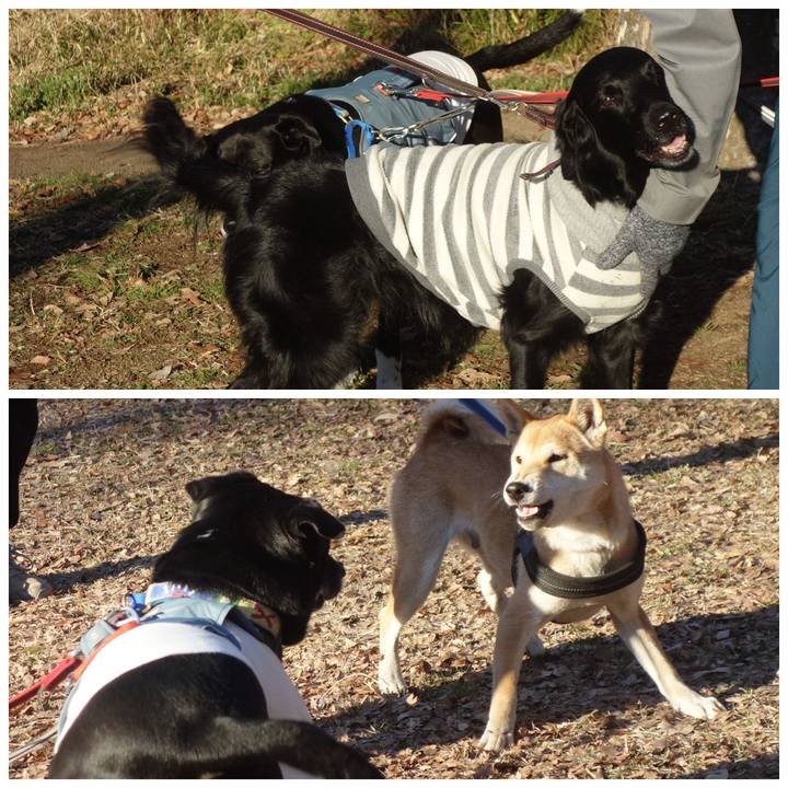 6f504d41 21af 427d 960a ad1c4f3b7cf1 1706318412299