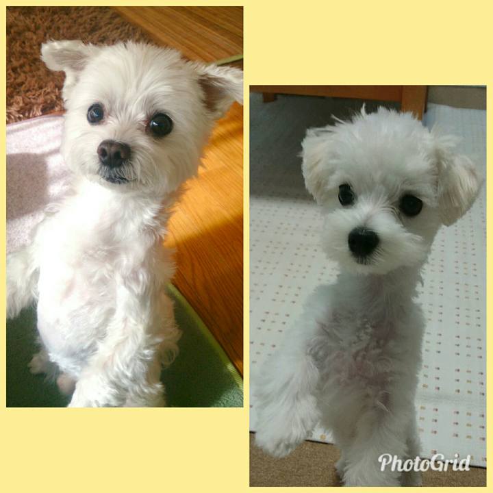 6f5061f7 ce1b 4948 af7c 8fad1c41f033 1507785426037