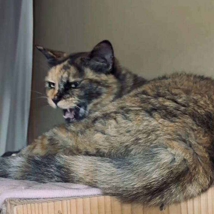 6f50685f aaff 4ffa 9a27 224ccb6929a2 1751684253233