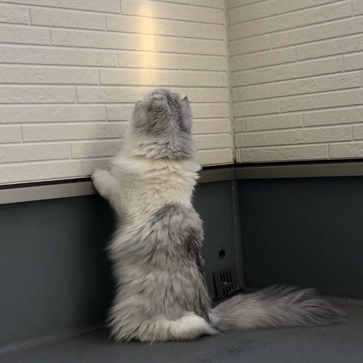 6f506ecb 53c1 44cd 888c 7713315f77eb 1629521779699