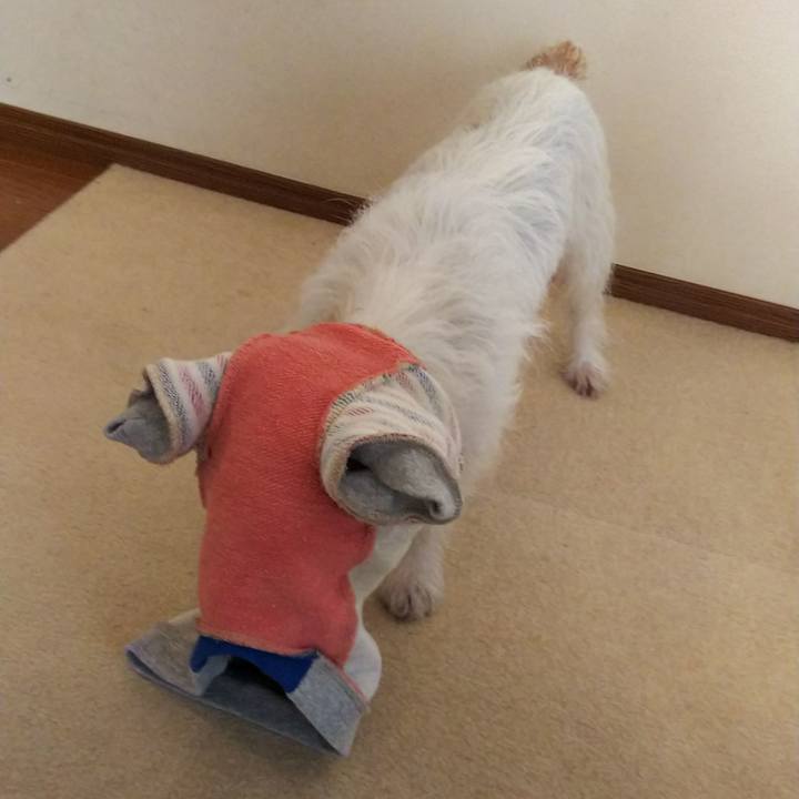 6f507f6b 00fb 4f21 80bc 2dbec1722796 1526106683667