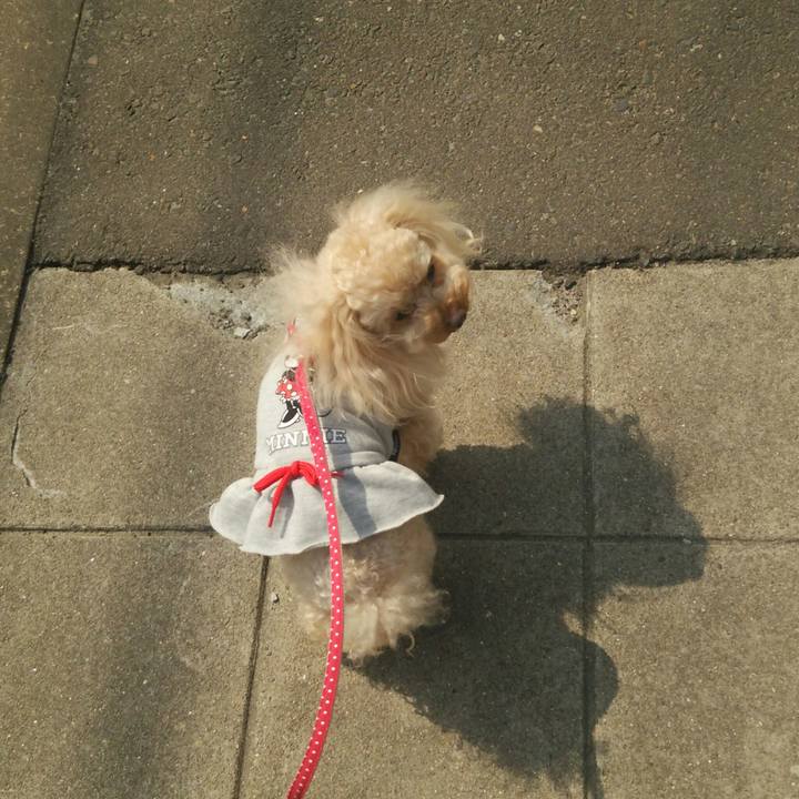 6f509231 d084 436d 8d4a cc81c116091f 1520930908836