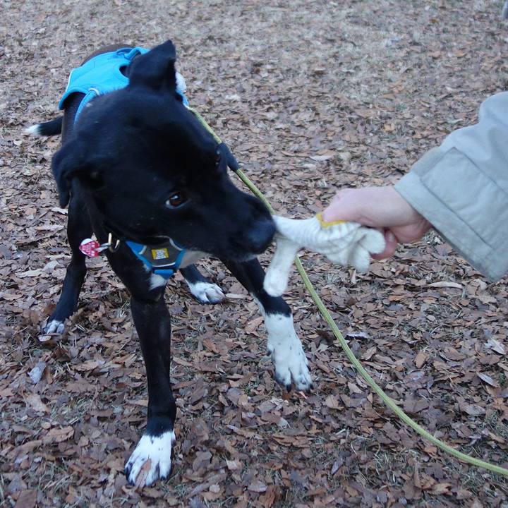 6f50ae33 e85f 4fa4 81f8 cb1a06ffb9bd 1610150730695