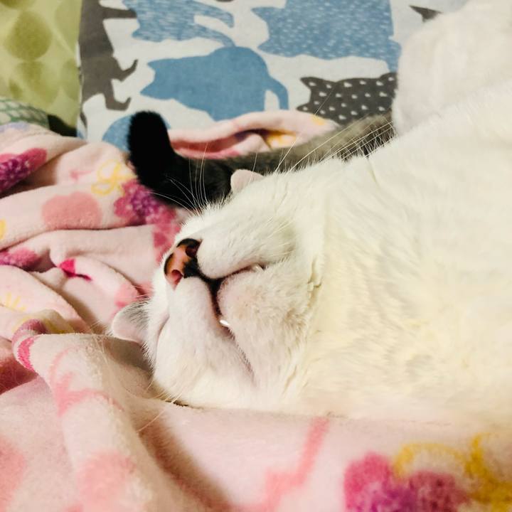 6f50d1d3 7965 41da b7df 72fe9e1952bc 1670165955180