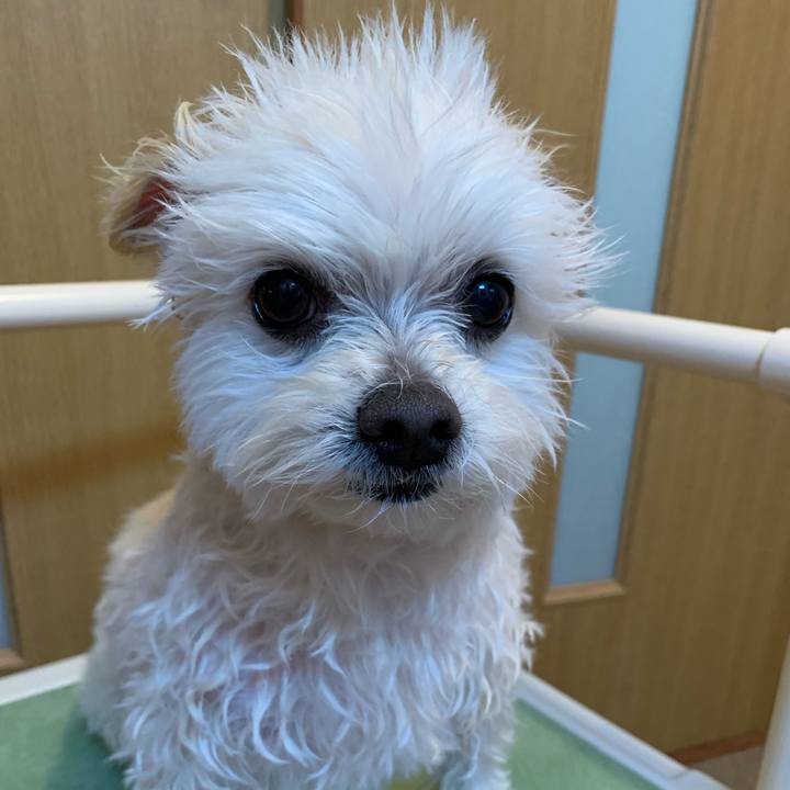 6f50f8a6 ea7d 4594 80af c3e568acf7a5 1646631447061