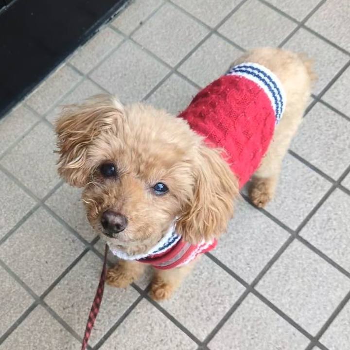 6f512d46 59c1 4ddb a462 495f2ad24dc5 1762899286293