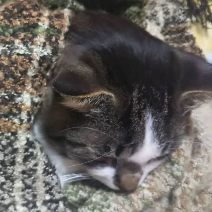 6f513a21 d7e4 4bbd a07e 0f8e614bc3ad 1614775190259