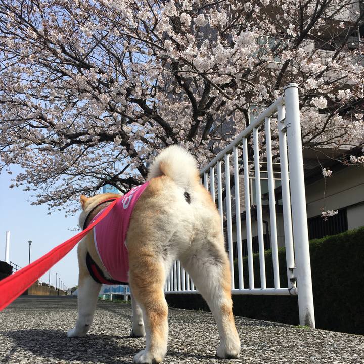 6f514eea 63ed 4671 b330 a7cb90626a8f 1584851036387