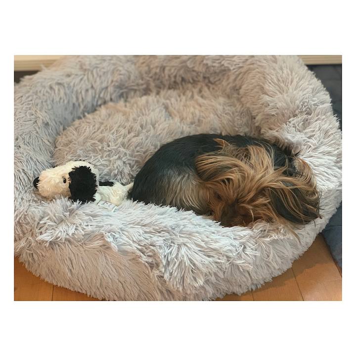 6f517100 7a2f 4847 b448 3ad1c49add4d 1601155461363