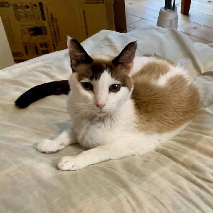 6f5184f6 9aba 48c3 ab3b b539798b1cf9 1678430773666