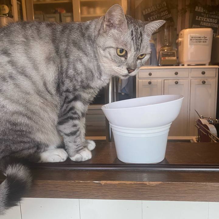 6f5187c3 ce3f 491b 9a3d 87d64f593827 1725753439047