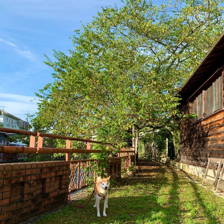 6f51afbf 3799 426e a50d 76949a80b552 1629887469666