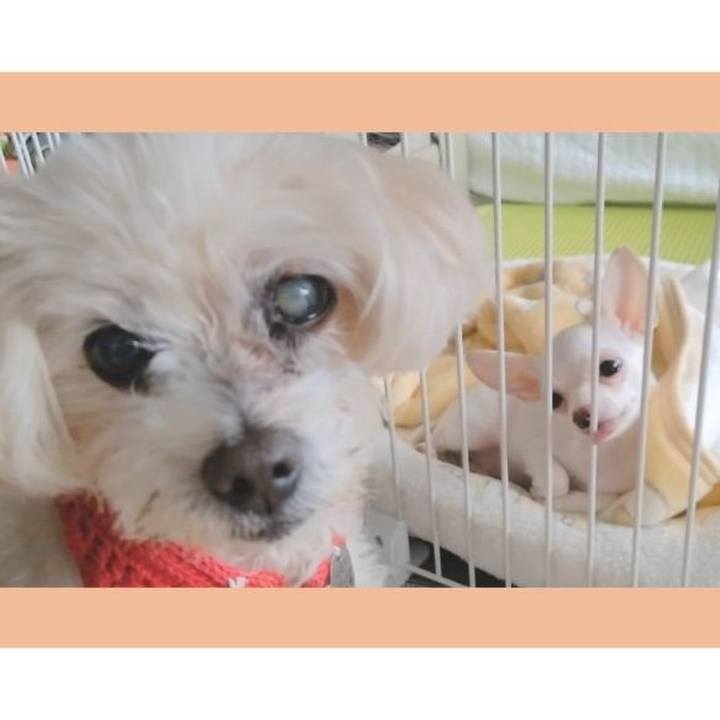 6f51bef9 0dcc 4fff b240 eb1398baf5df 1704601254744