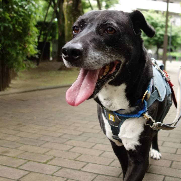 6f51d804 6265 4f32 bda8 a57e53bb217c 1718497999594