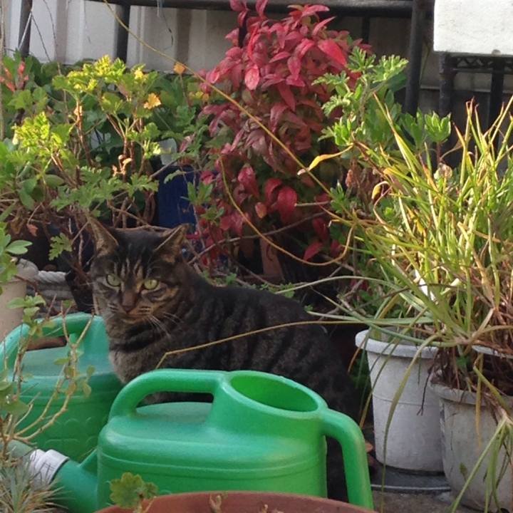 6f5206ce ffe7 4340 8e53 40ff8888f03e 1509719278137