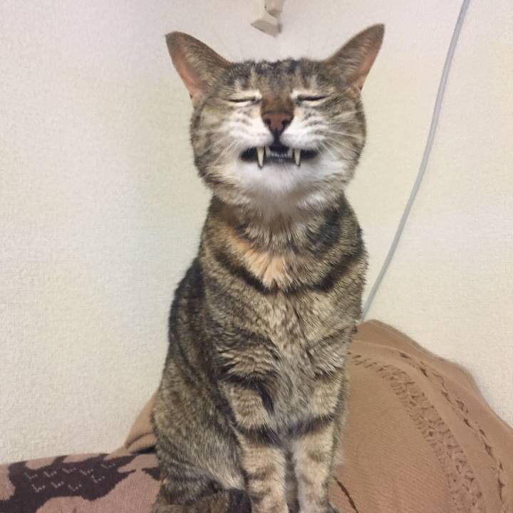 6f5234d7 be0c 44ec b70a edc7aa2a9cea 1520493669770