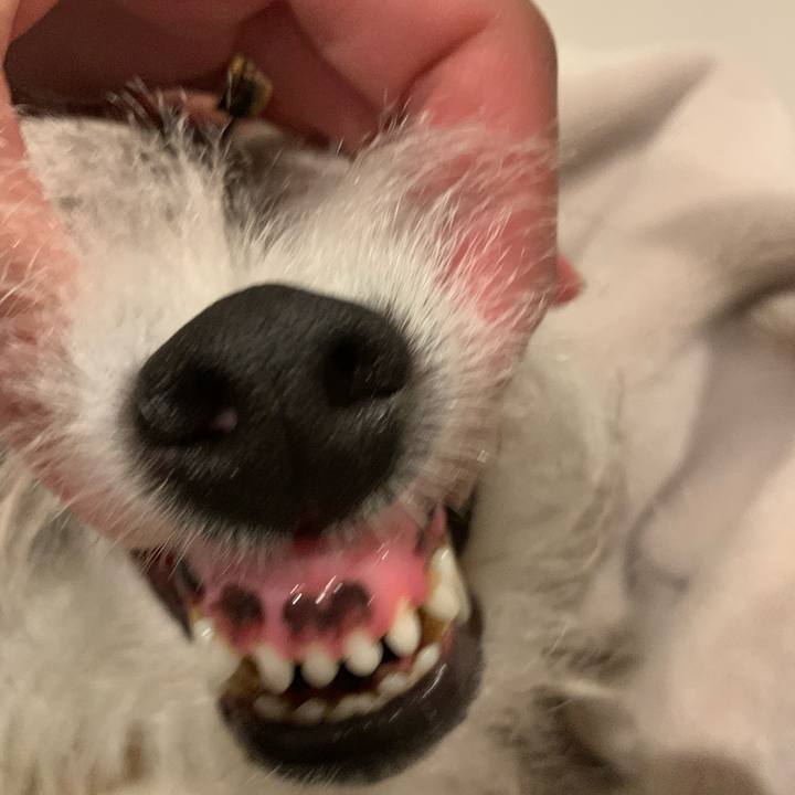 6f52aaa1 1c04 45cf 8d09 dd7add4ee1f3 1575287477201