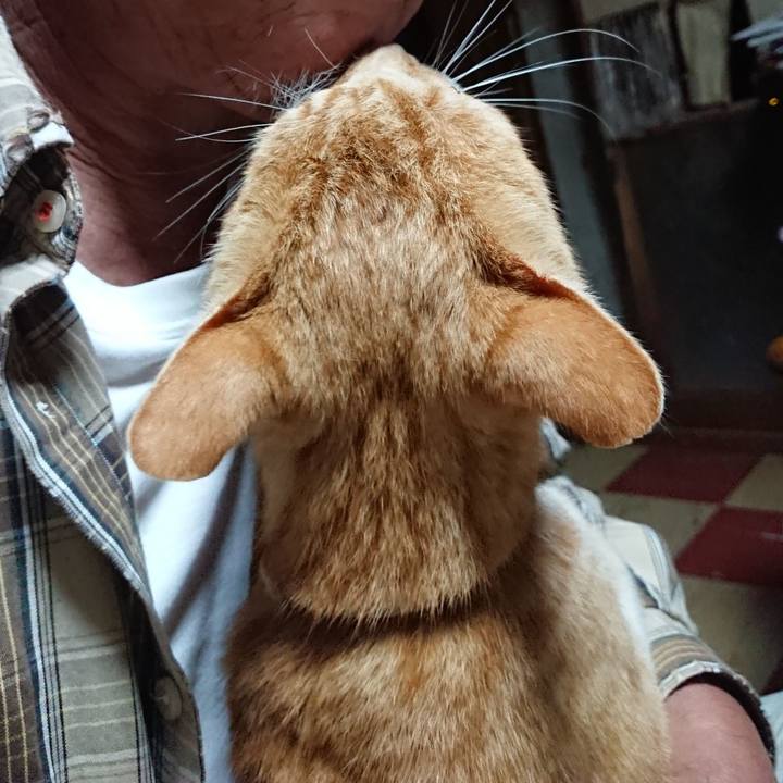 6f52d637 0c8e 4b6a bed3 8681d53ff56c 1591384959915