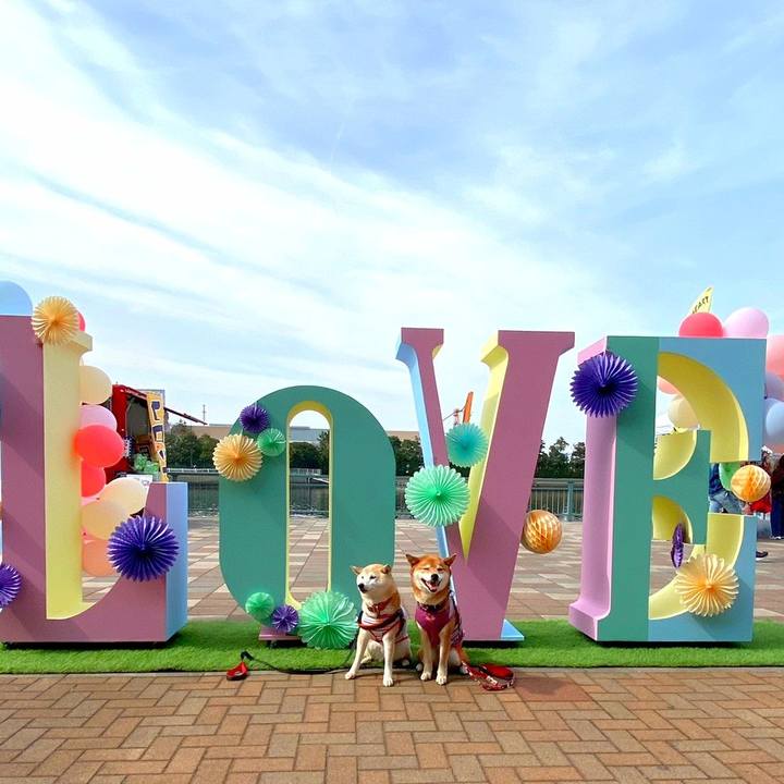 6f52f8bc 8df7 4b06 aed3 eddab9e0cc3d 1647223519877