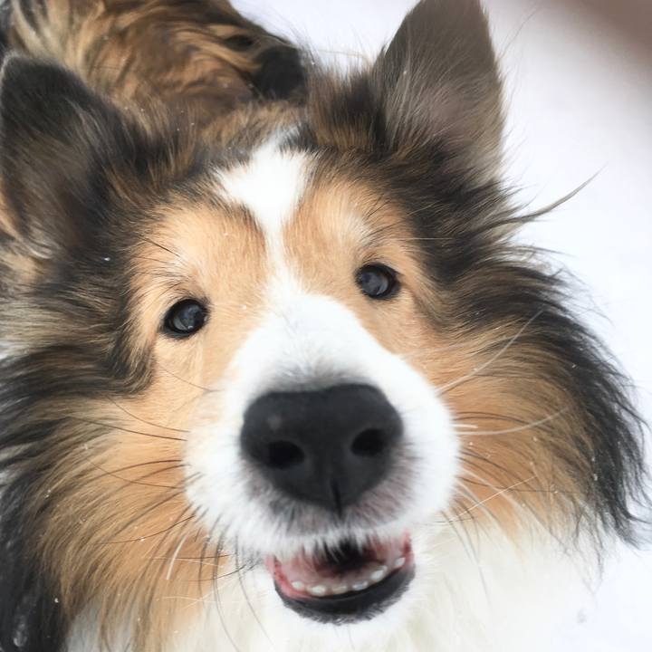 6f535f58 4039 44d3 912d d8be42081fe3 1576926271973