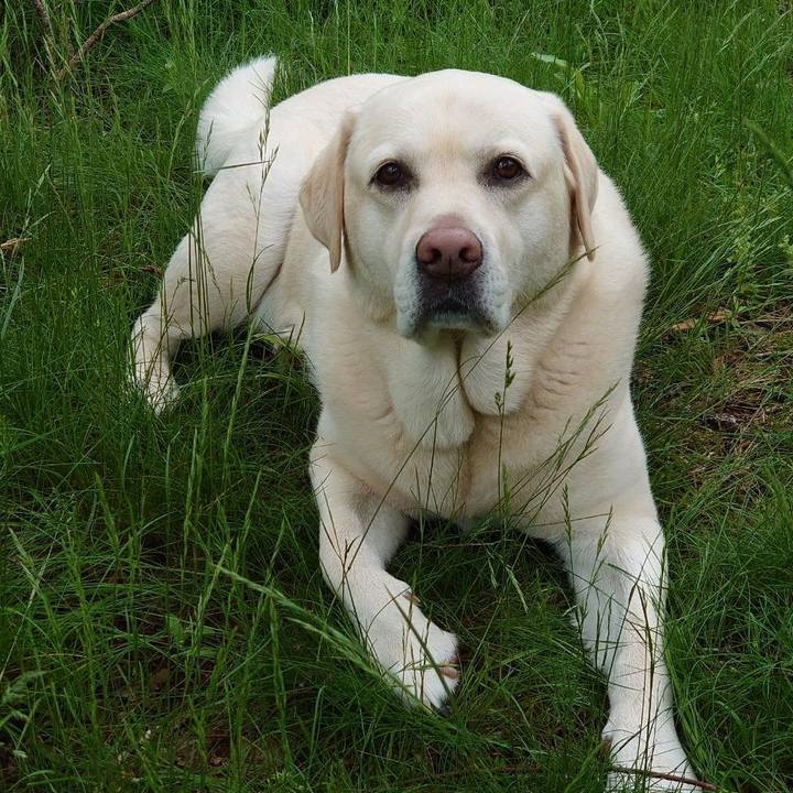 6f536aac d887 4e89 a906 76b39dd3db5d 1686567235590