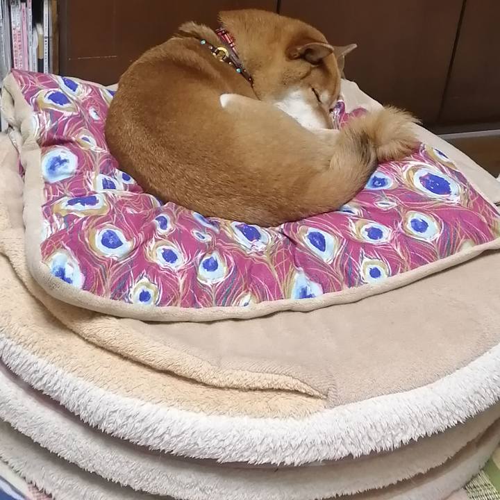 6f537731 b88b 4641 8d3a 25bb71fdc435 1642470665426