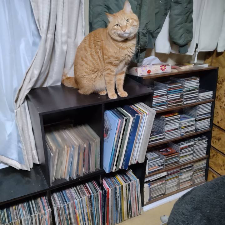 6f537eb5 428f 4ace 8db5 3d1752f0ae86 1674046646217