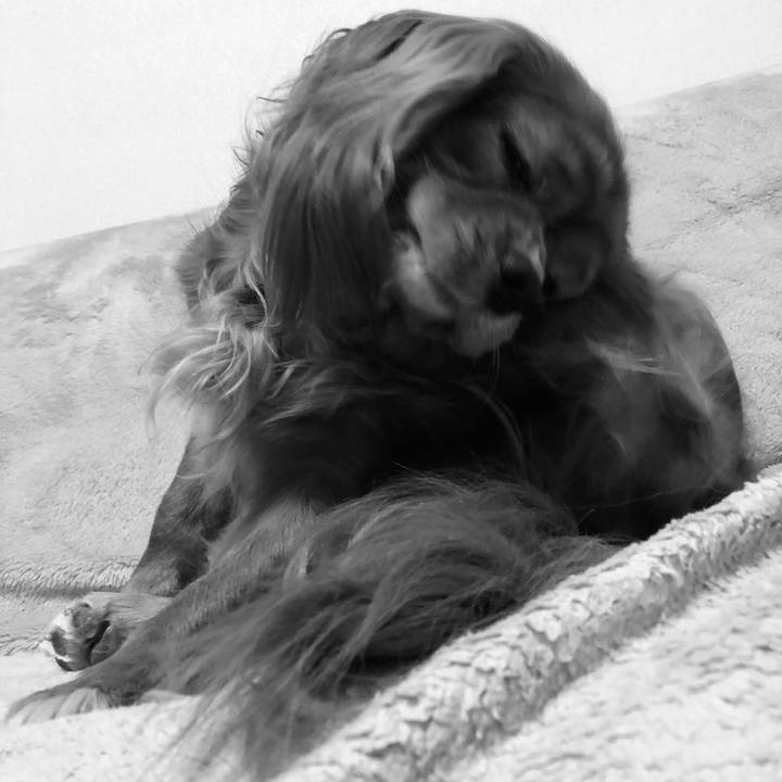 6f5389b6 2859 499d 8f83 61d65019a8b5 1641356985664