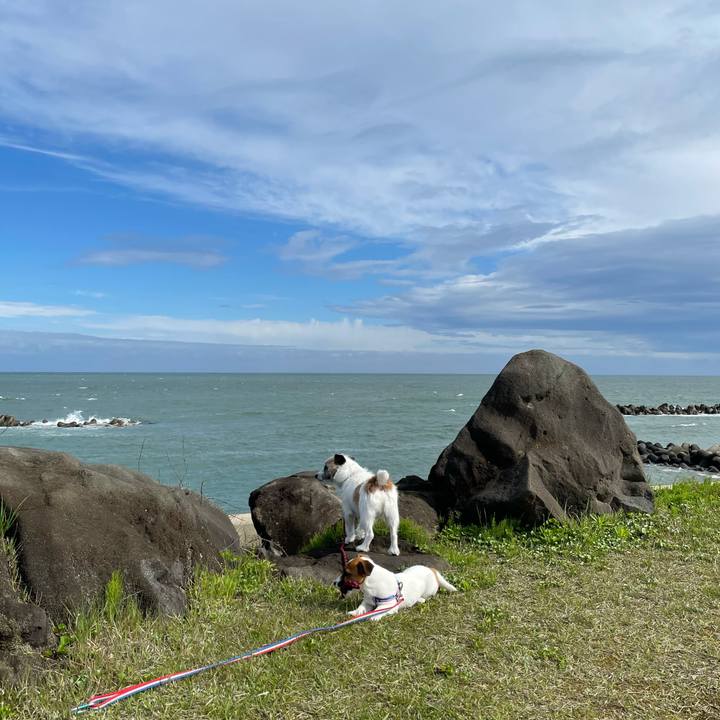 6f53a7cf cd88 450e 9771 7ed60c296959 1619915546457