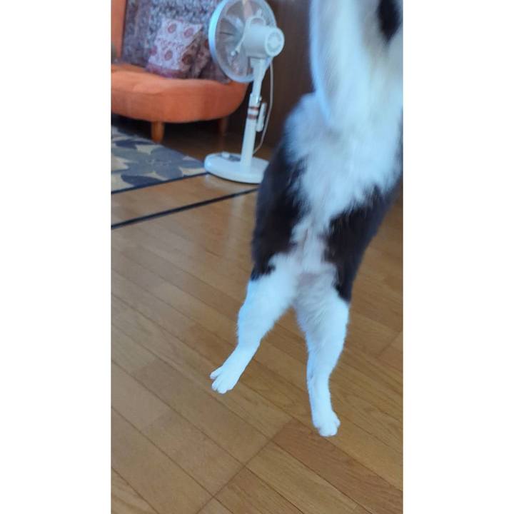 6f540099 4a62 48c2 9184 1c81a5360fa3 1728119961375