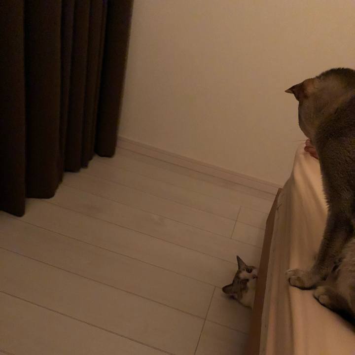 6f540d7c c52e 49c4 8ca5 e70093ecf4aa 1532876087969