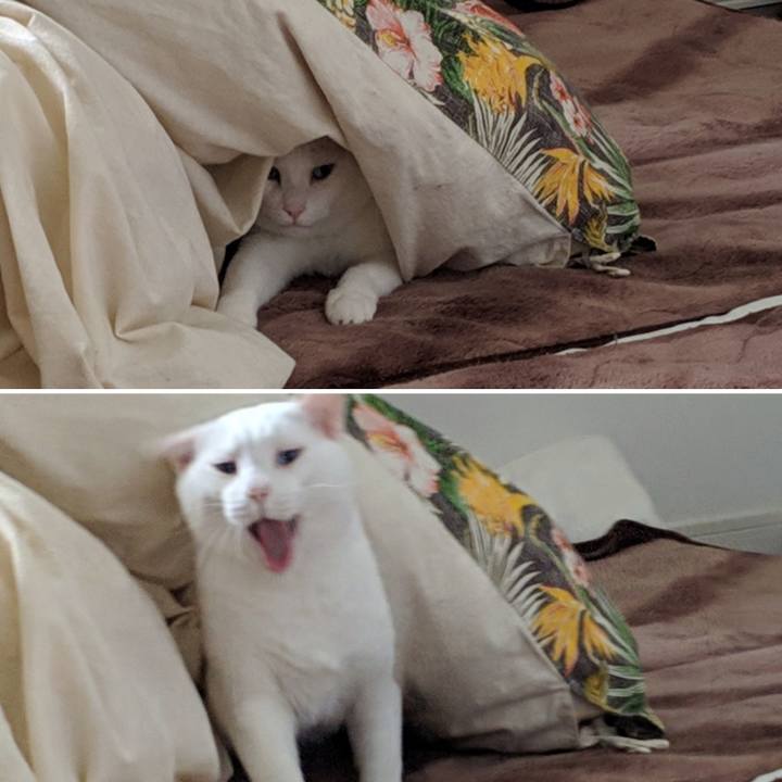 6f5431bd 2364 4e0b 93e9 2112b4372d4e 1554871170766