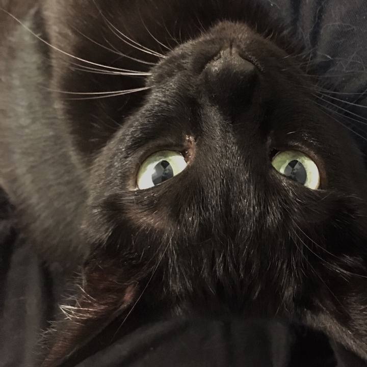 6f5432ee dc40 4321 bb36 03e713e78b0f 1552577006291