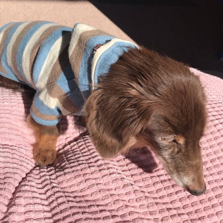 6f5433d5 ca7b 40f6 b5d2 514097b288e6 1580263928555