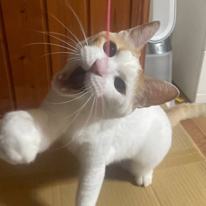 6f544864 81e1 4202 ba73 dd8ece0a9287 1690811850797