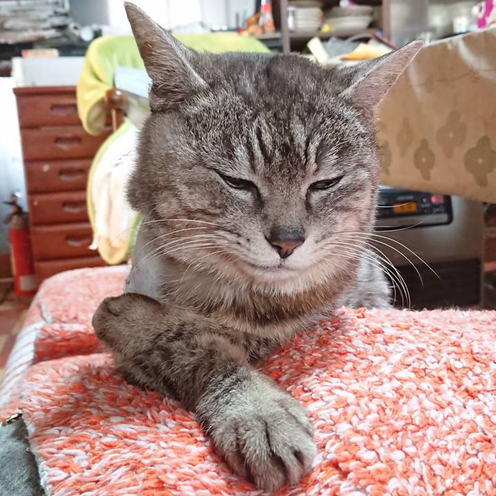 6f544992 e9f2 4c7a b167 f3ee2ef8cf72 1587849473914