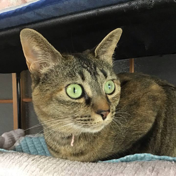 6f547f7c df7f 4942 80e5 7c58c1820d89 1682685051315