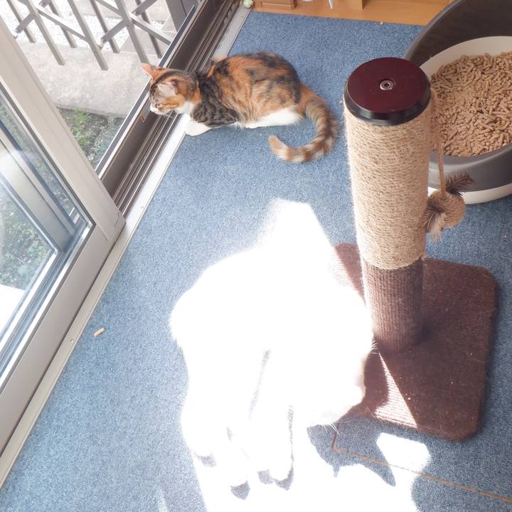 6f548ae1 67cd 41e3 85e0 946364abb583 1633656944128