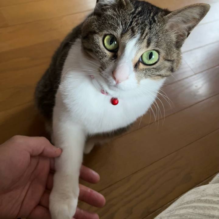 6f54a53b 26bd 4347 827a f63c6598982b 1712146290404