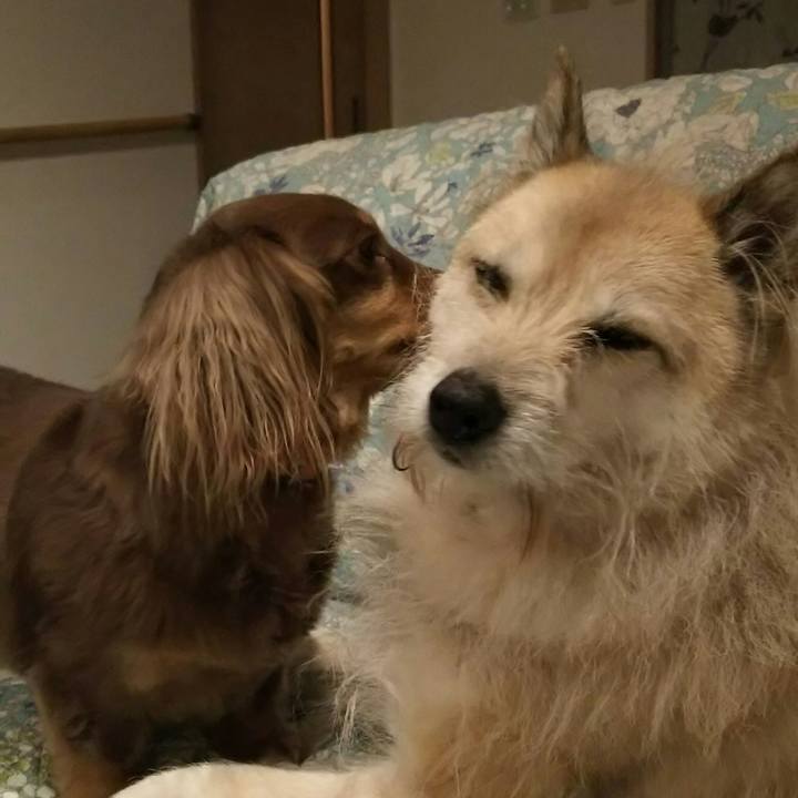 6f54c514 229f 4bbb a6cc f08b22565641 1524570497898