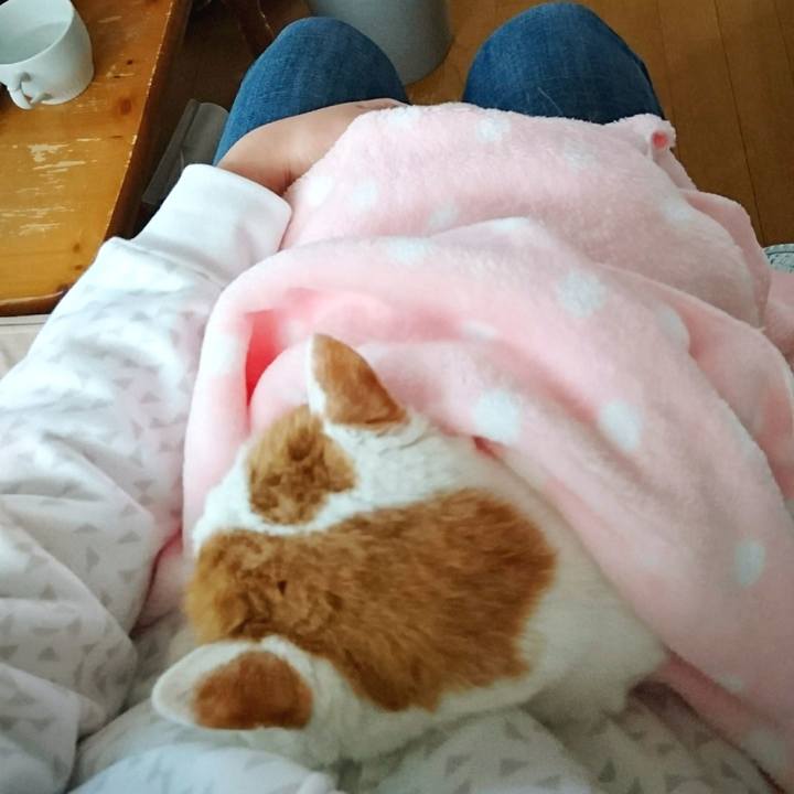 6f54ea3b 393b 4234 a59b d9d4154d4d3b 1724591666970