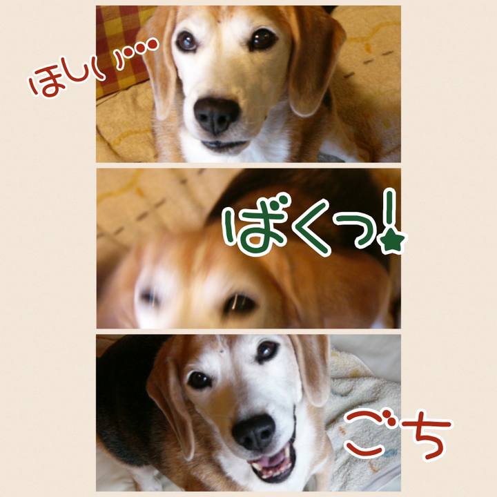 6f550cf7 87c6 4e64 882c d576b34ee410 1670464269261