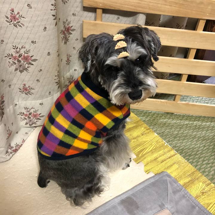 6f550f9b 671c 4bff 984f 88ca3956f4ba 1643201380826