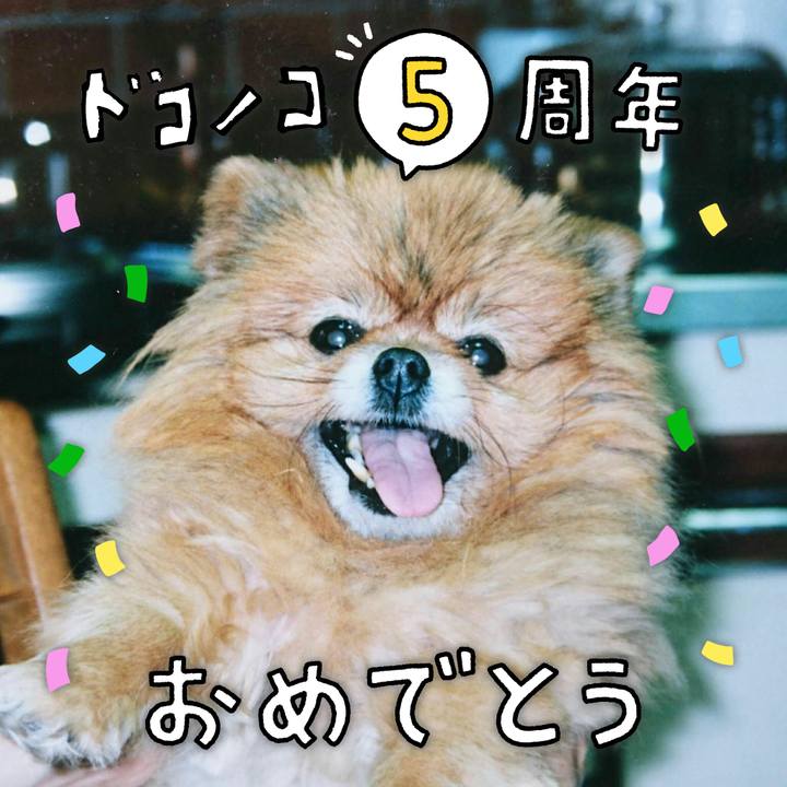 6f551993 c7fd 4165 bf8a e5f576ca0c26 1622985260766