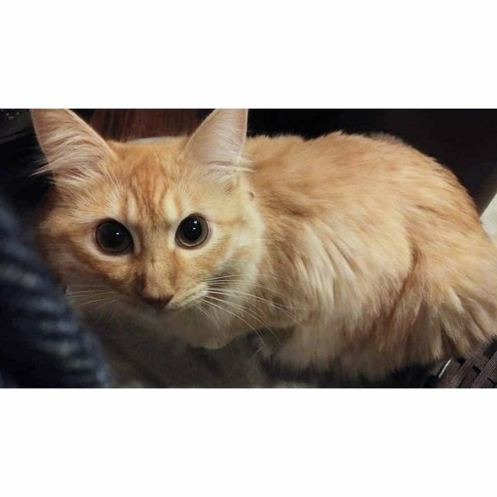 6f552219 8c95 4794 af65 046c1e3f893a 1629719096360