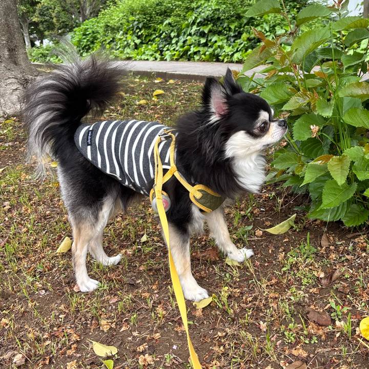 6f554cfe 0729 47ad 8b6c 6beb1ed9af75 1745686366011