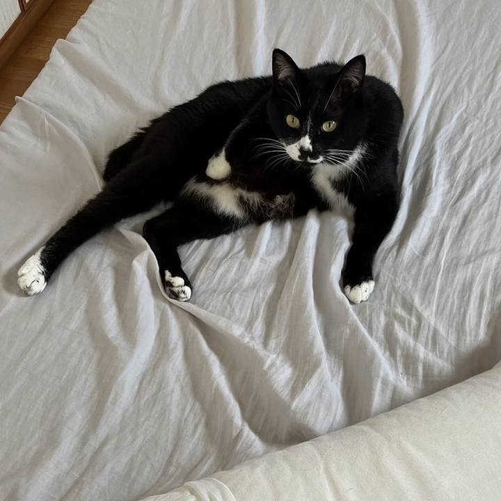 6f555664 aae6 4ac8 b8bb 7d28a6e72f42 1721100750698