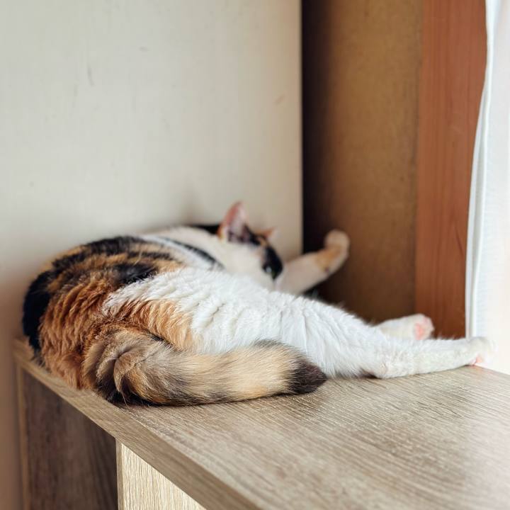 6f5578ce 14ff 43c5 9057 115986dca060 1724630784924