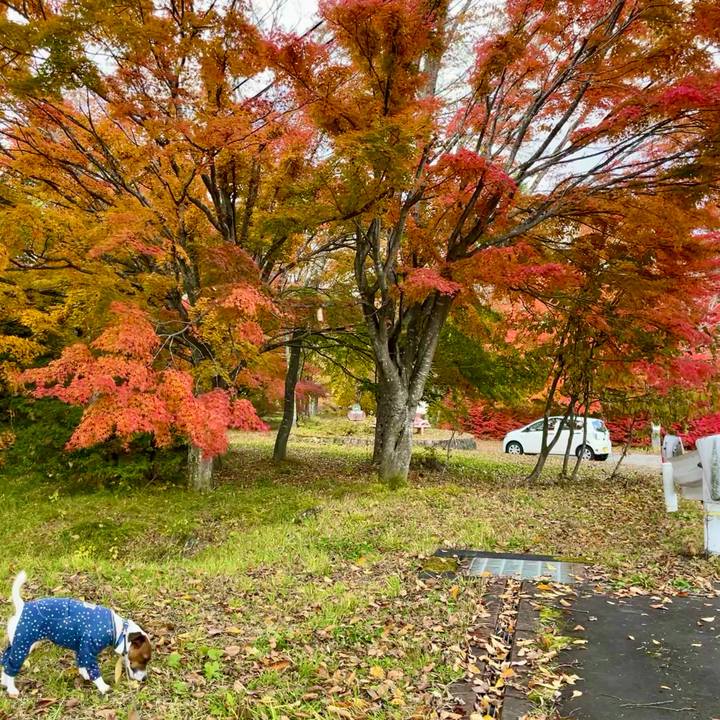 6f558cef ec15 49df 937a 605161045ea3 1635843080566