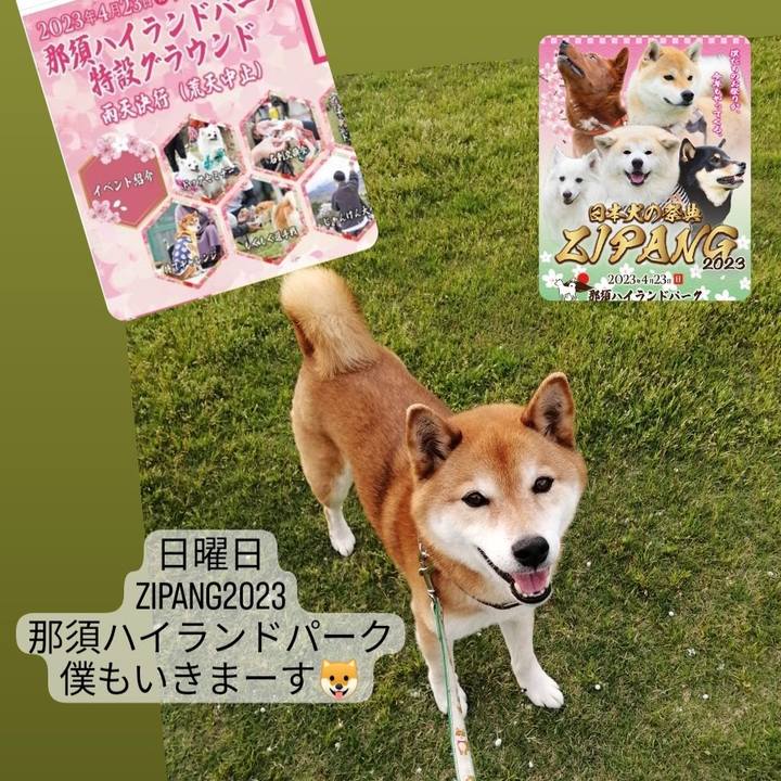 6f5593eb ebbb 4a35 8ffd 3d1f11cf1592 1682074333877